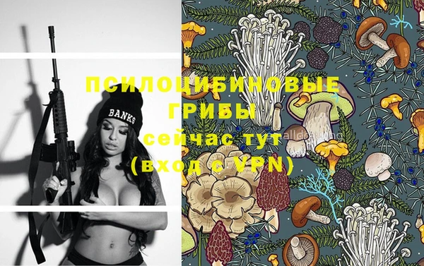 прущая мука Арсеньев