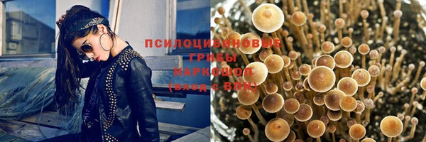 прущая мука Арсеньев